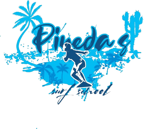 logotransparenteok-removebg-preview
